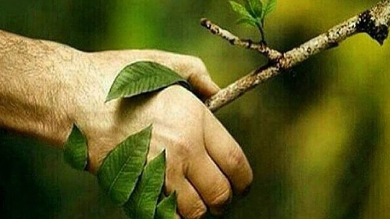 روز طبیعت مبارک